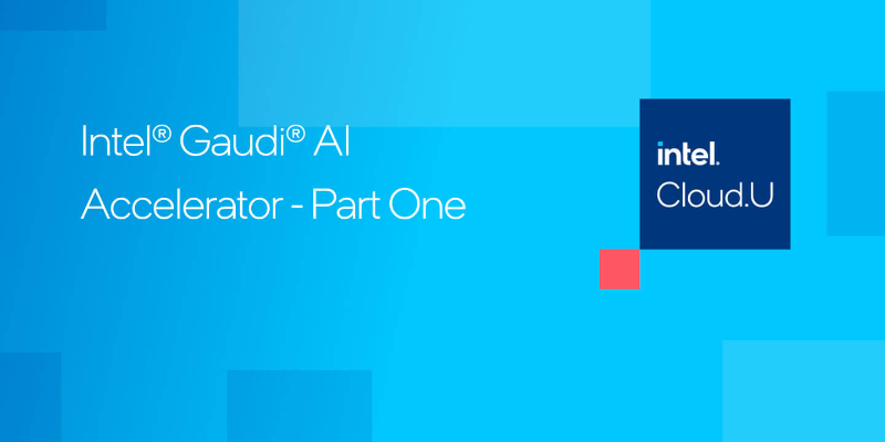 Chapter 1:Intel® Gaudi® AI Accelerator on Amazon Web Services