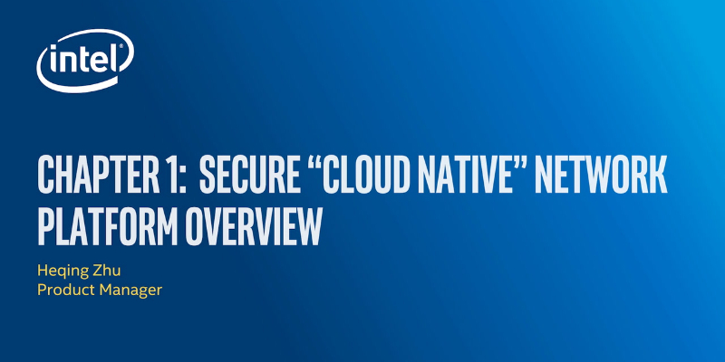Secure Cloud Native Network Platform