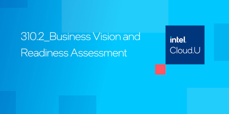 Chapter 1:Business Vision and Readiness Assessment