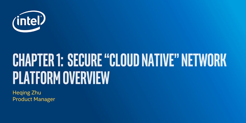Chapter 1: Secure Cloud Native Platform Overview