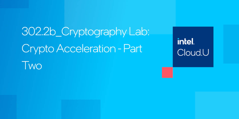 Chapter 1:Cryptography Lab: Crypto Acceleration - Part Two