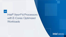 Intel® Xeon® 6 Processors with E-Cores: Optimized Workloads